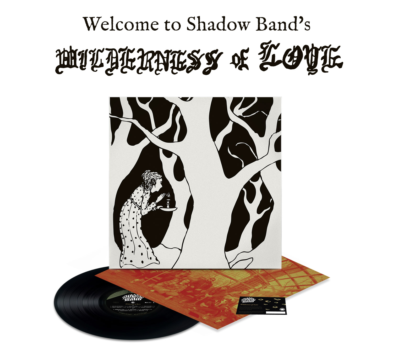 Shadow Band Wilderness of Love LP